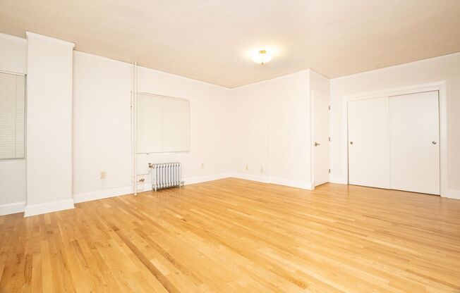 Studio, 1 bath, 370 sqft, $1,100, Unit 102