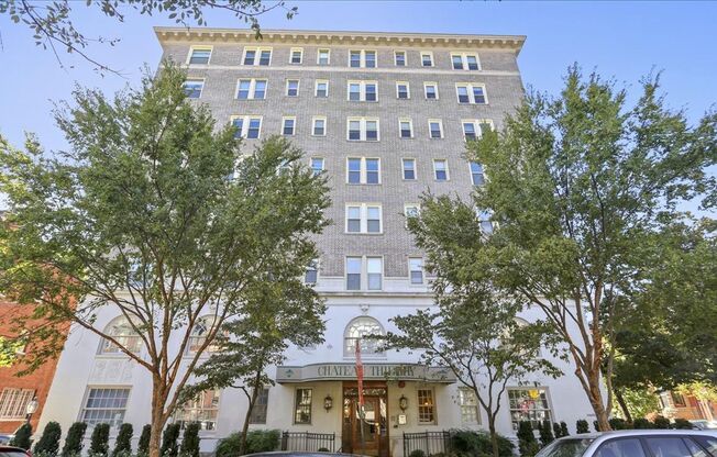 Château Living in this Dupont Circle Delightful Studio- Blocks from the Metro!
