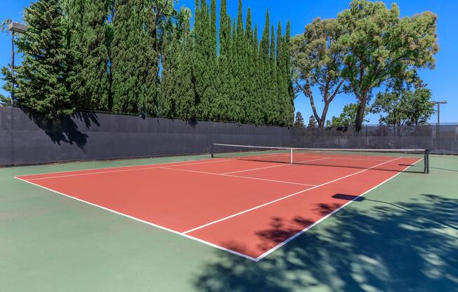 CHALLENGE NEIGHBORS TO A GAME OF TENNIS