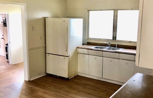 Beautiful 5BR/1BA Zephyrhills Home w/Brand NEW FLOORING! Fenced Yard NO APP FEE!