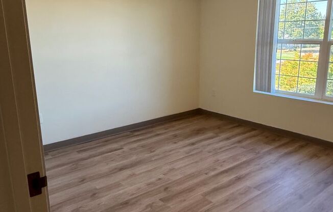 1 bed, 1 bath, 750 sqft, $1,300, Unit 306