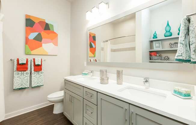 Well Lit Bathroom interior at Proximity Apartments, South Carolina, 29414