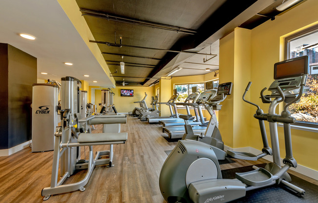 Gym