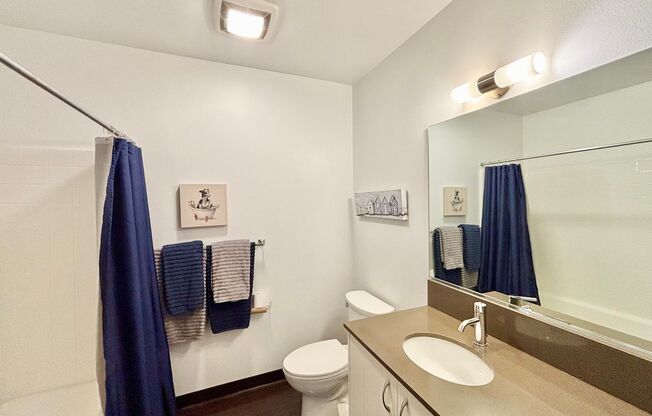 Studio, 1 bath, 547 sqft, $1,495, Unit 205