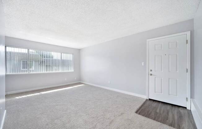 The Canopy | Living Room