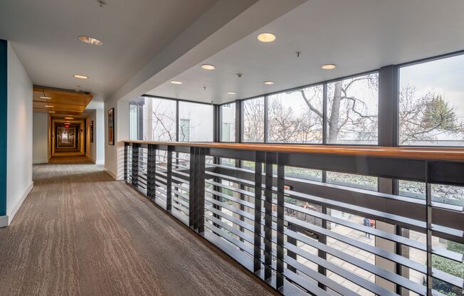 Buckman Terrace