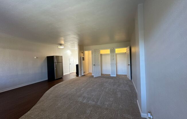 Studio, 1 bath, $1,425, Unit 209