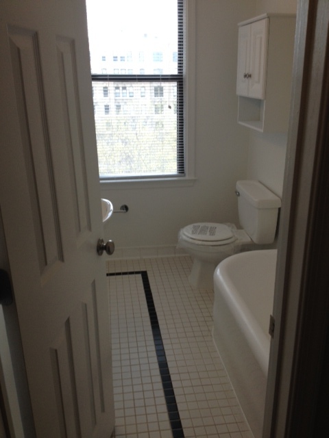 Studio, 1 bath, 407 sqft, $2,125, Unit H816