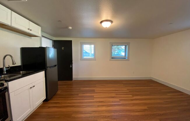 Studio, 1 bath, 265 sqft, $1,099, Unit 17
