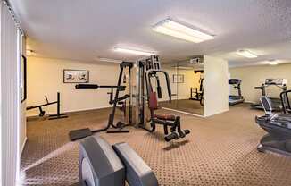 the gym at the preserve at polo ridge apartments fl