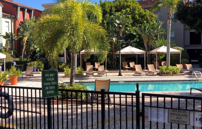 2411 W. Horatio St #514