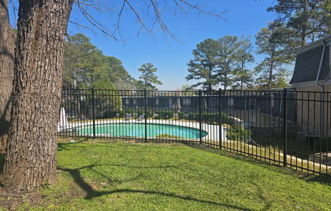 Chateau Montagne Apartments