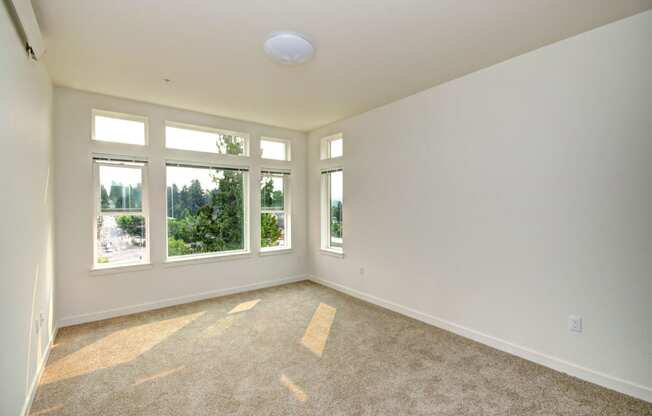 Wall-to-Wall Carpeting at Emerald Crest, Bothell, 98011