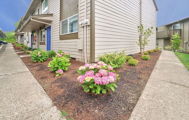 1 bed, 1 bath, 508 sqft, $1,249, Unit 51