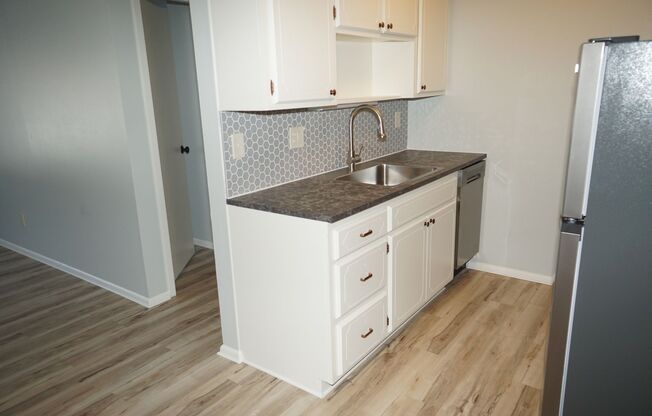 1 bed, 1 bath, 700 sqft, $1,250, Unit 101