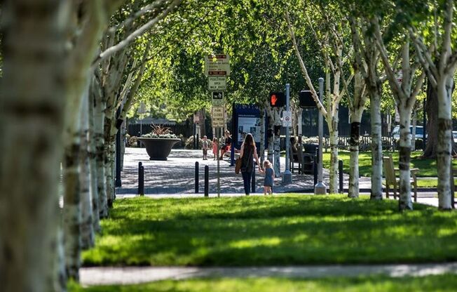 1 bed, 1 bath, 450 sqft, $995, Unit 201