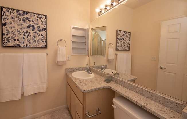 Stoneridge model 2 hall bathroom