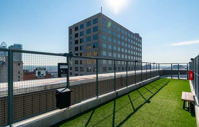 a dog park on the roof of a building