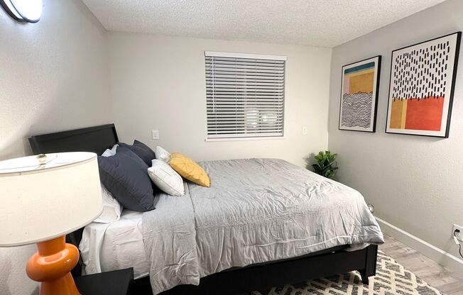 North Star Apartments - Beautiful Remodeled Apartments