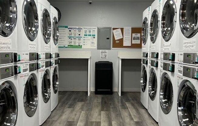 1 bed, 1 bath, 650 sqft, $1,995, Unit 31