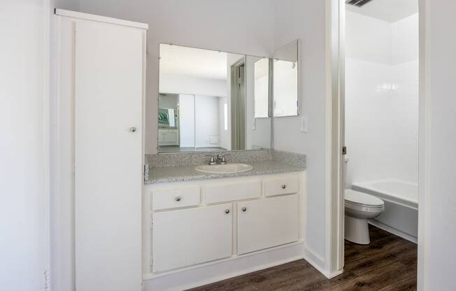 a bathroom with a sink and a toilet and a mirror