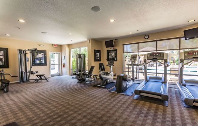1 bed, 1 bath, $1,295