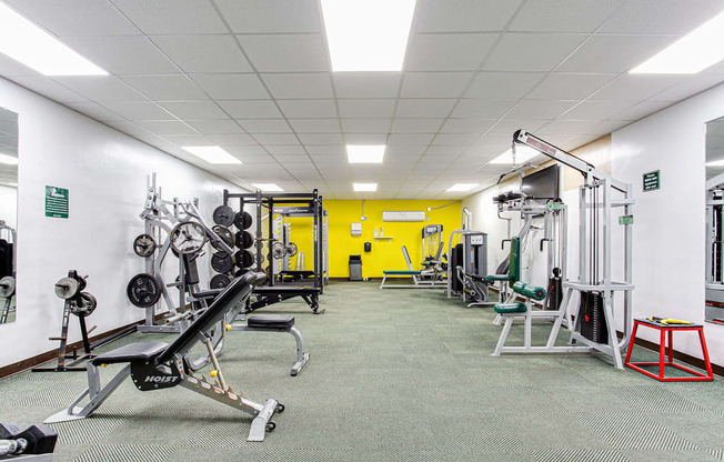 a large fitness room with weights machines and a yellow wall