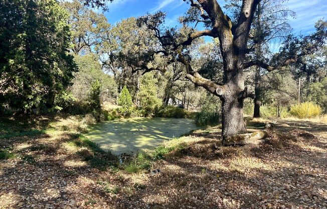 Stunning Renovated 2 Bedroom 2 Bathroom Farm House on 8 Acres