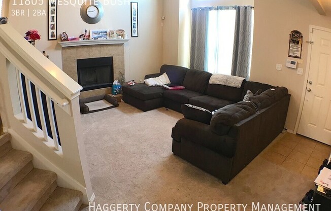11805 Mesquite Bush