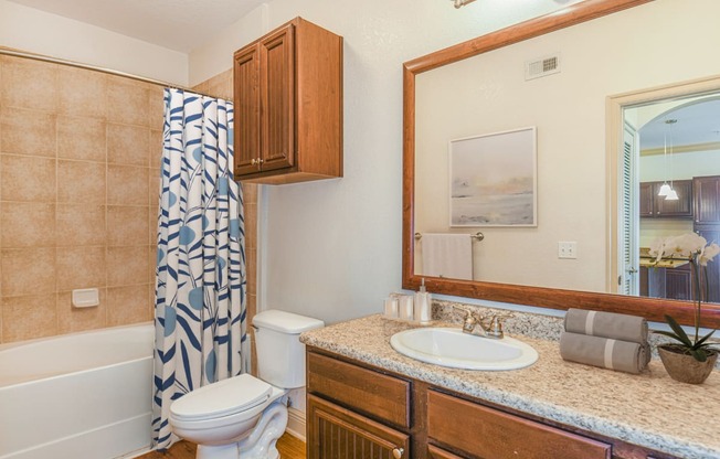 a bathroom with a shower toilet and sink and a mirror