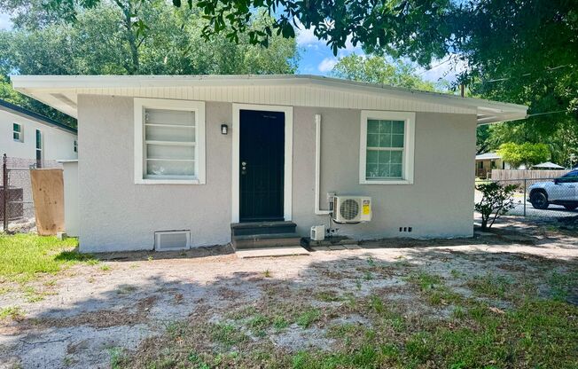 Fully Renovated and STUNNING 3 bedroom/1 bathroom home in Tampa!