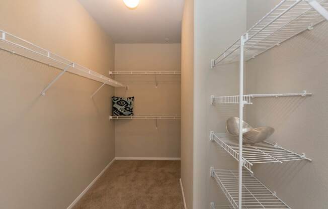 Bedroom Closet at The Pavilions by Picerne, Las Vegas, 89166