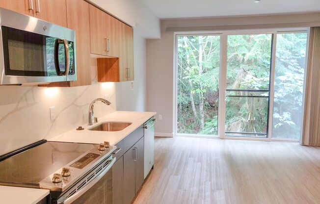 Studio, 1 bath, 460 sqft, $1,795, Unit 211