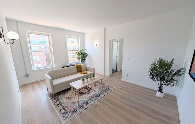 Stunning One Bedroom Apartments in the Heart of Detroit