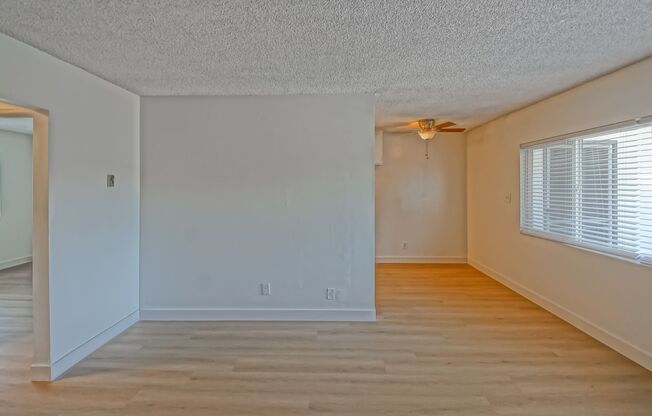 2423 Carnegie Lane