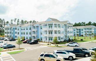 Community View