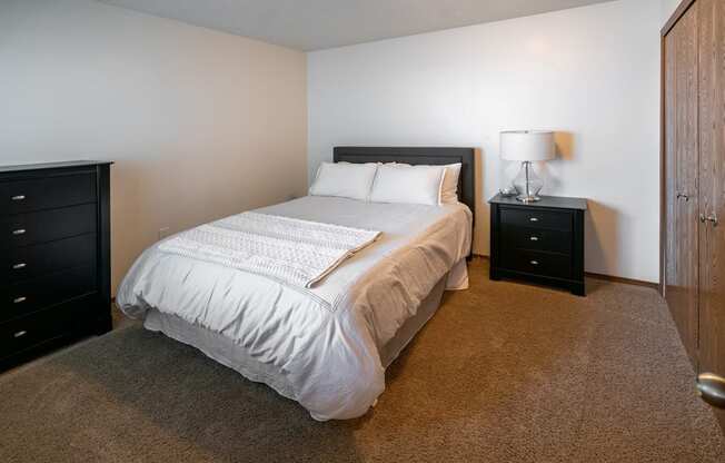Large Comfortable Bedrooms at Raleigh House Apartments, MRD Apartments, Michigan, 48823