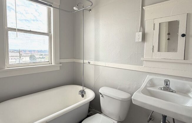 1 bed, 1 bath, 502 sqft, $1,250, Unit 201