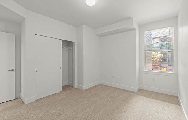 A room with a carpeted floor and a window showing a city view.