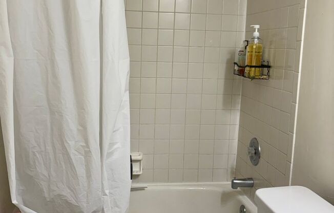 1 bed, 1 bath, 600 sqft, $1,599, Unit 219