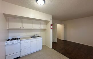 Studio, 1 bath, $675, Unit 1104-16