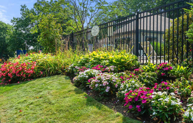 A black fence surrounds a garden with a variety of flowers.