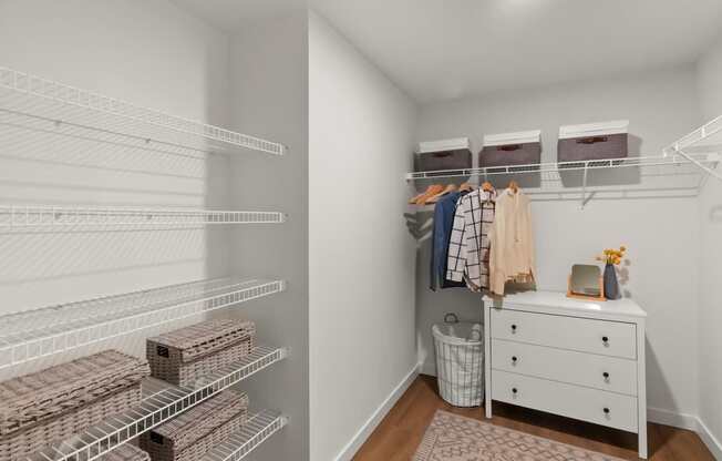 A white closet with a white dresser and a white rug.