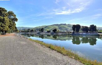 Little cottage nestled in a street surrounded with natural setting in Fremont Niles area , Available Now