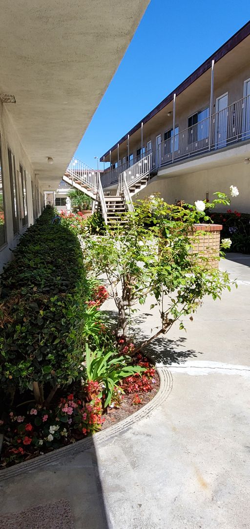 3 The Roman Apartments