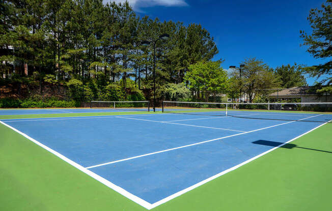 a tennis court with trees in the background