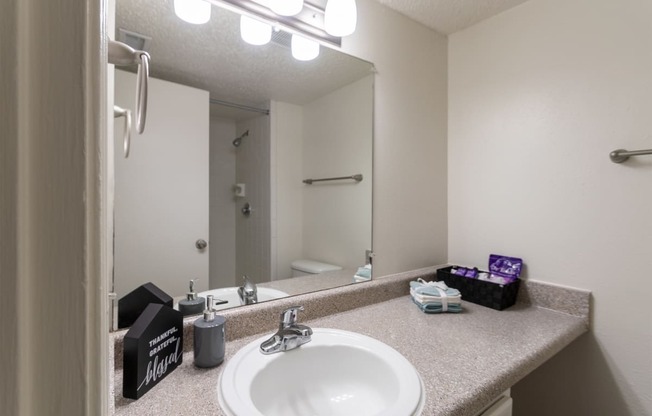 This is a photo of the primary bath in the 871 square foot 2 bedroom, 2 bath apartment at Princeton Court Apartments in the Vickery Meadow neighborhood of Dallas, Texas.