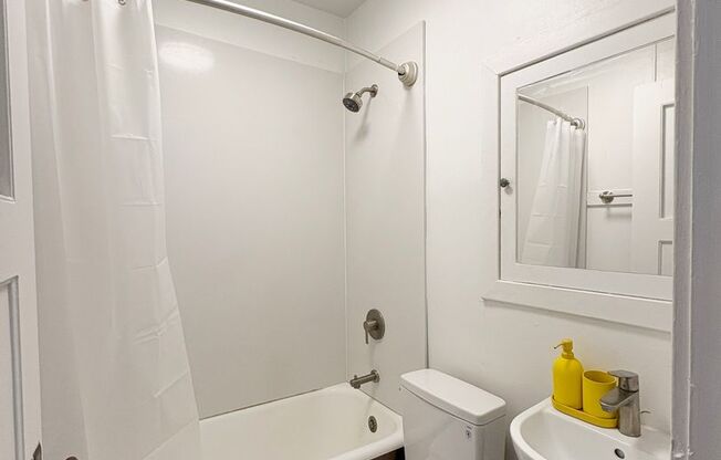 Studio, 1 bath, 304 sqft, $1,775, Unit Unit 208