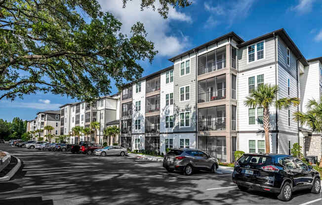 A sunny day at a residential area with cars parked and trees in the foreground.
