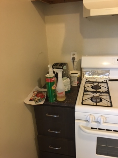 1 bed, 1 bath, 625 sqft, $1,800